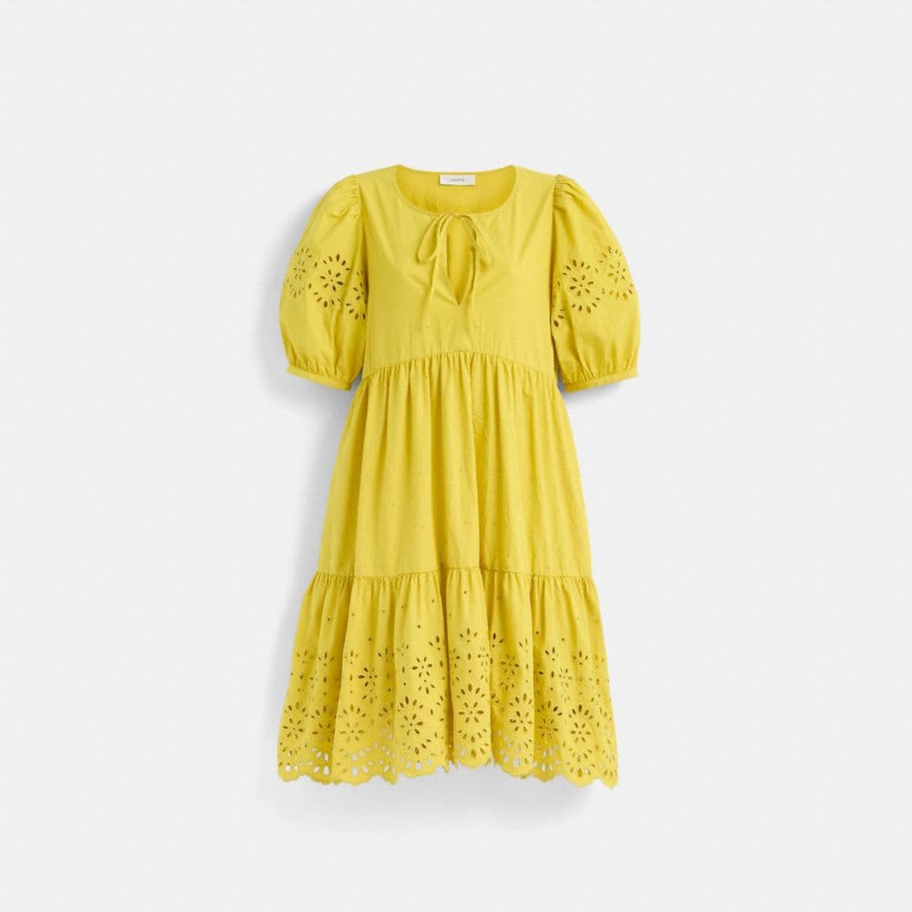 Restored Broderie Anglaise Puff Sleeve Dress In Organic Cotton