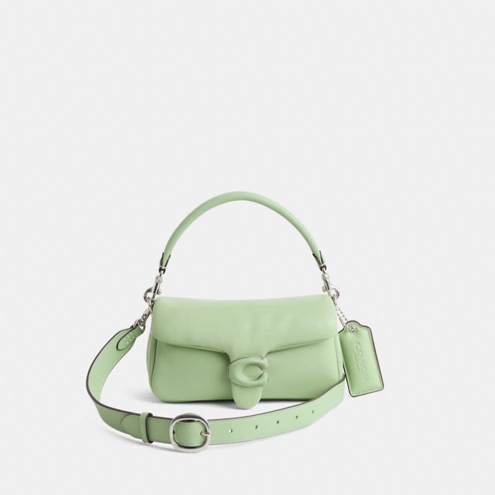 Silver/Pale Pistachio