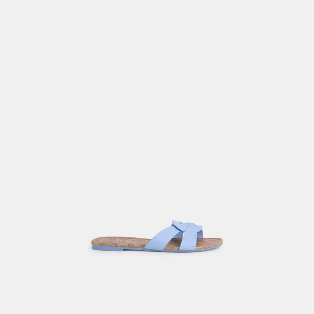 Periwinkle