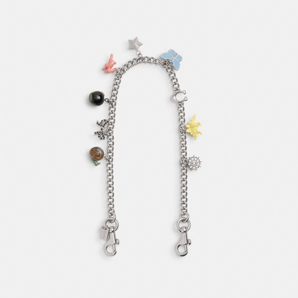 Chain Strap With Charms