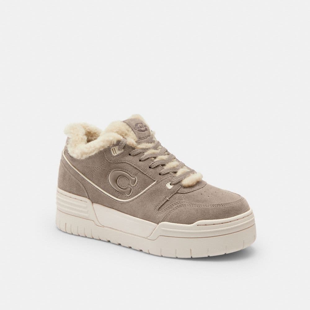 Chalk/Grey Birch