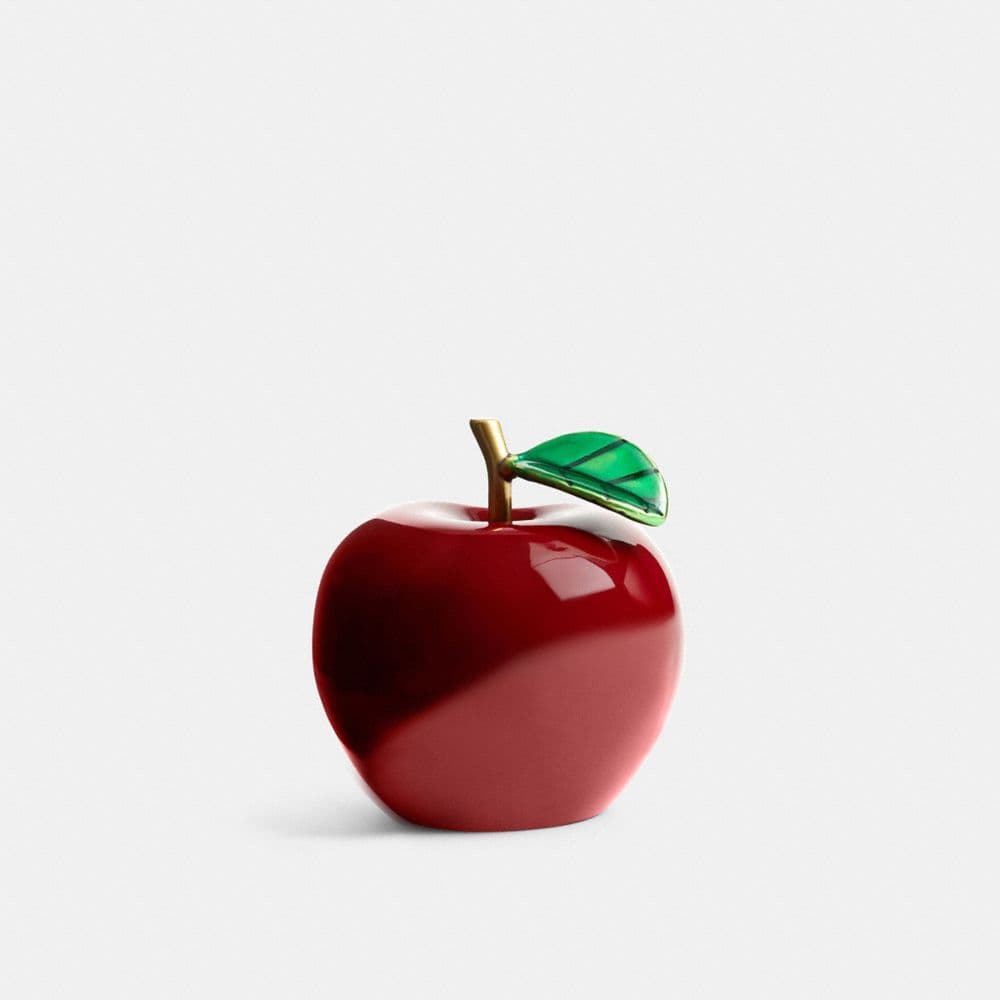 애플 슈 참