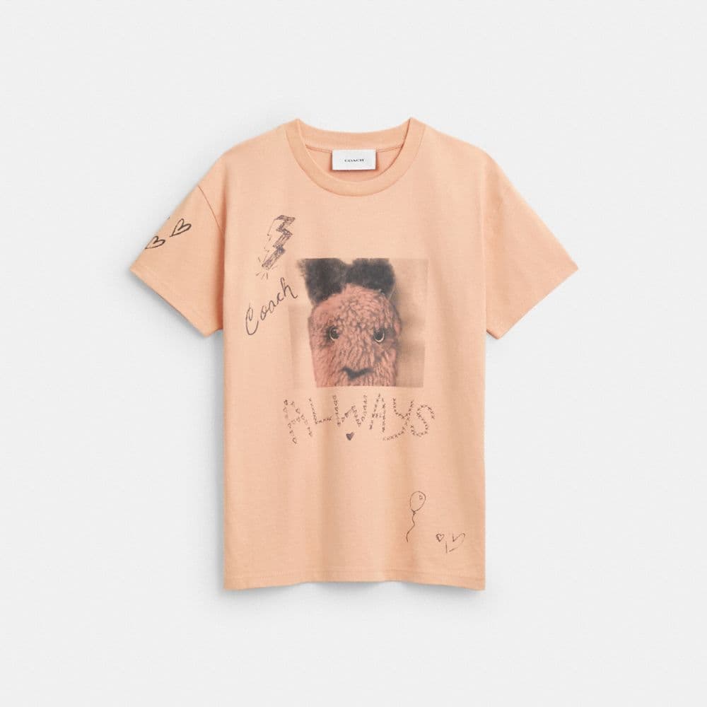 Carroty Shrunken T-Shirt In Organic Cotton