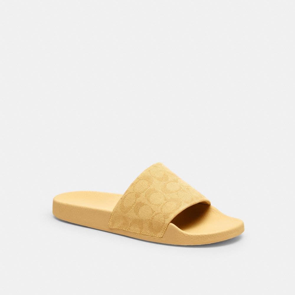 Vanilla