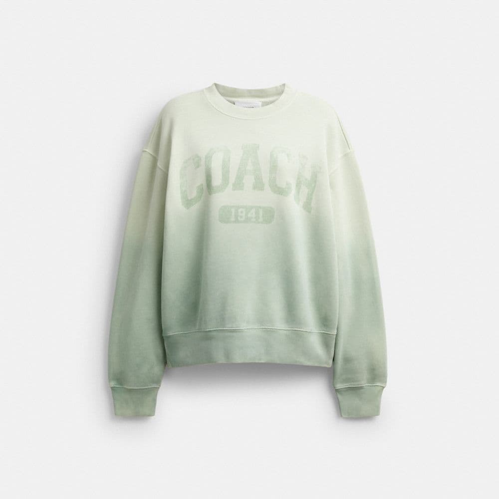 Ombre Sporty Crewneck Sweatshirt In Organic Cotton