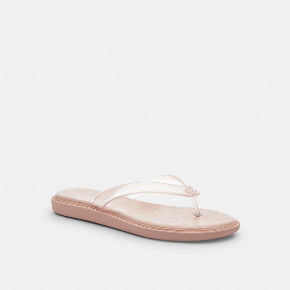 Jelly Flip Flop In Signature