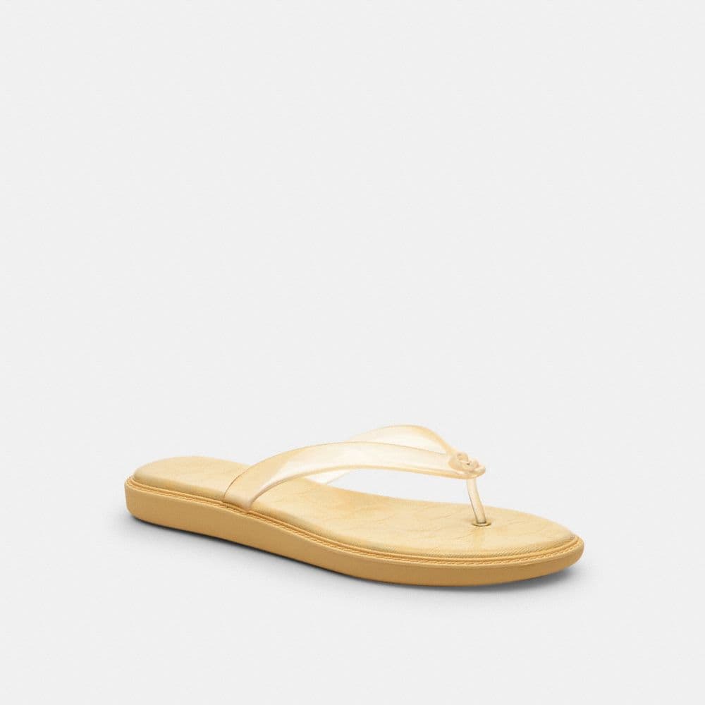 Vanilla