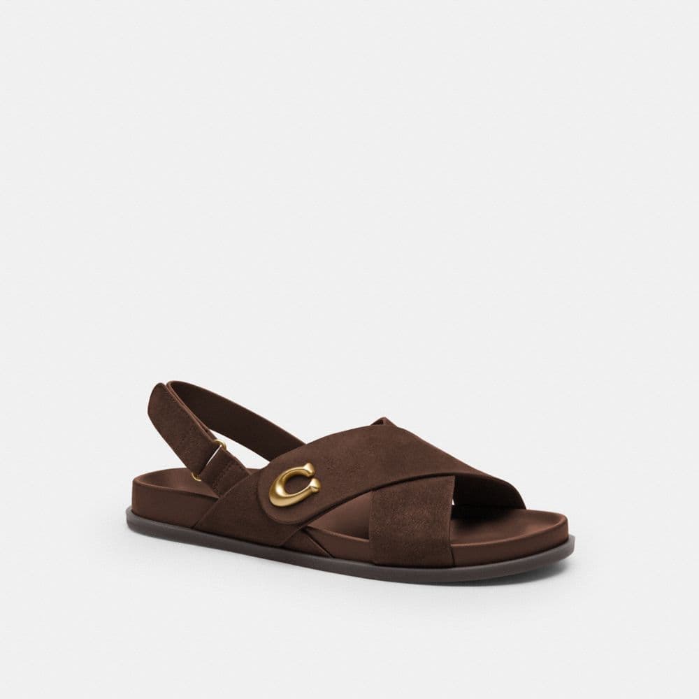 Chocolate Brown