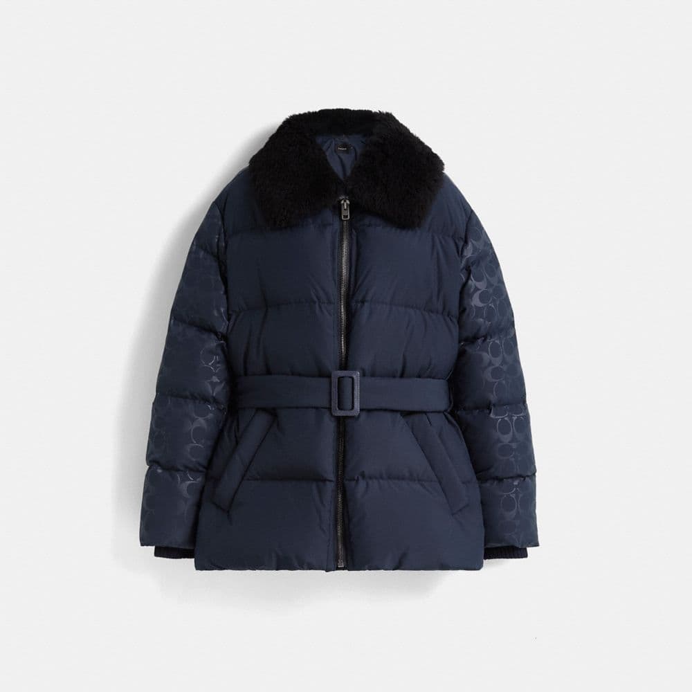 Restored Belted Puffer