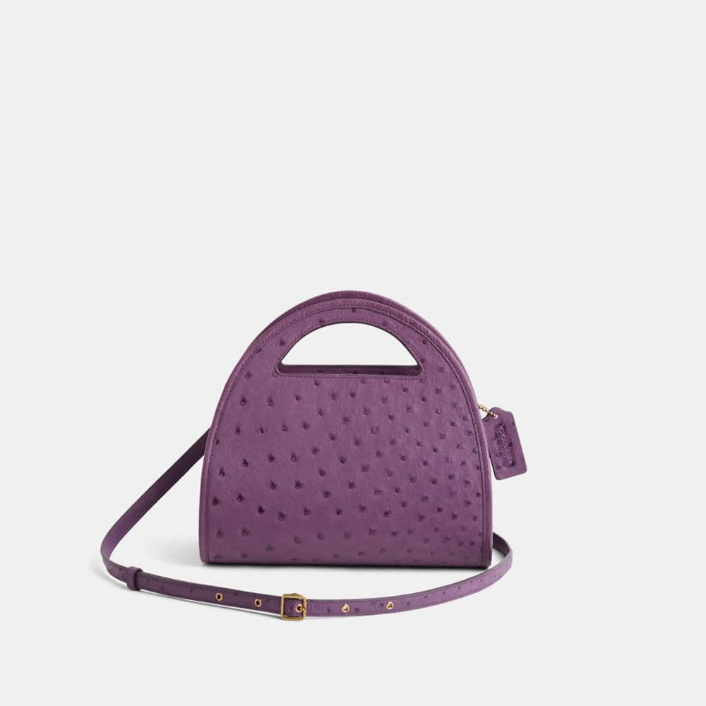 Restored Zip Dome Crossbody In Ostrich
