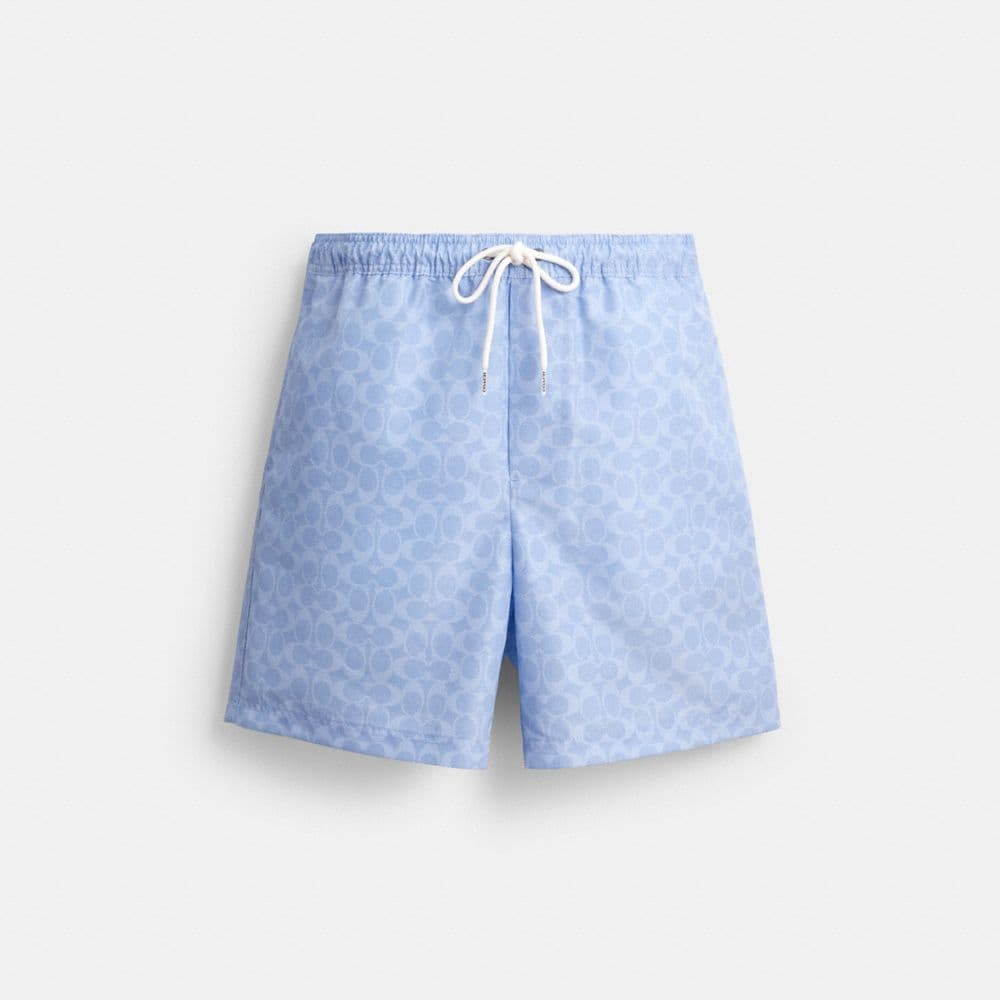 Cerulean Light Blue